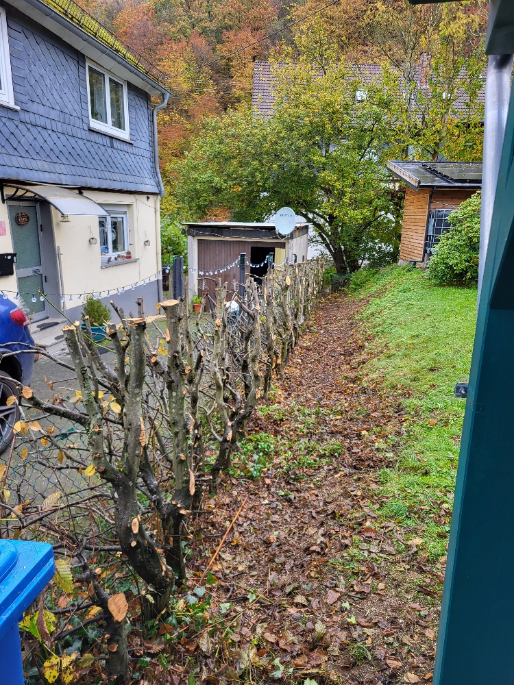 Baum & Heckenschnitt 4