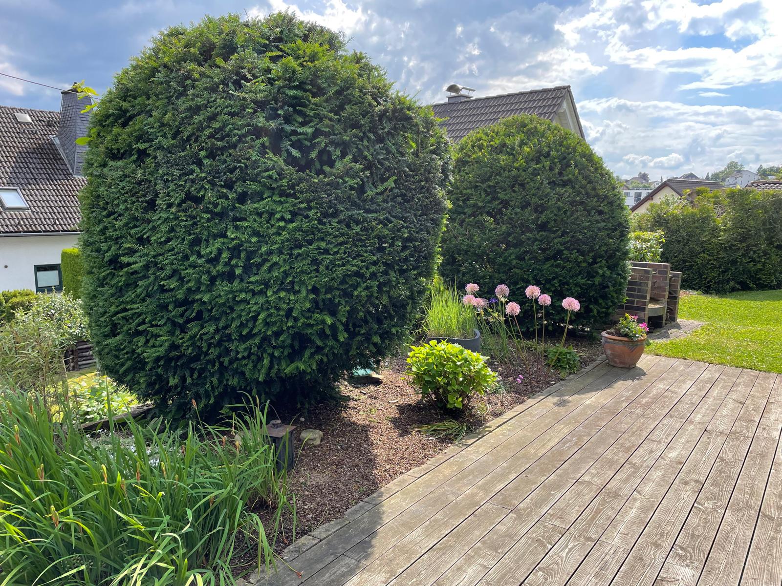 Gehölz -und Formschnitt