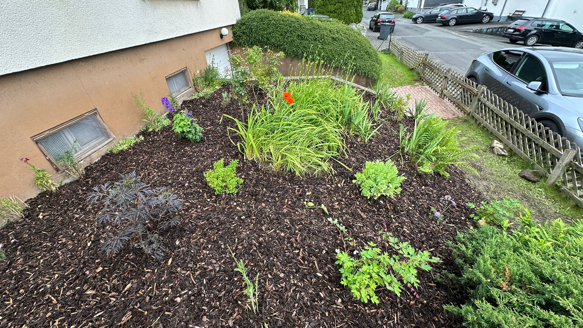 Neugestaltungsarbeiten 3